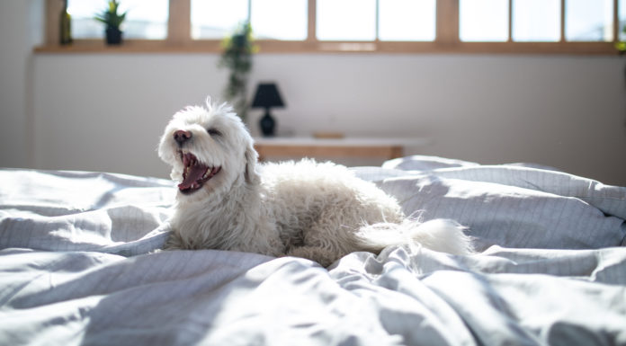 Can you go clubbing at 18 in California? Can you go clubbing at 18 in California?