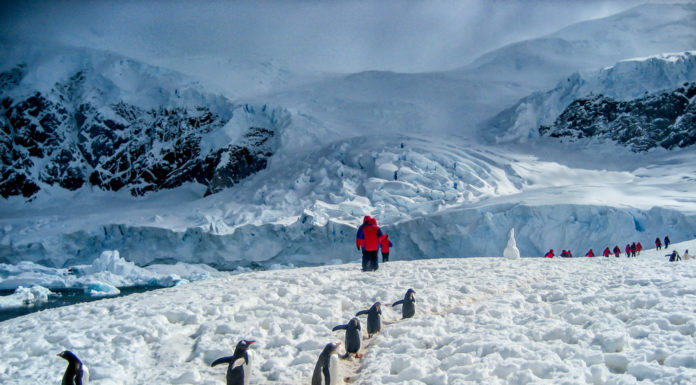 Can you go to Costa Rica right now? Can you go to Costa Rica right now?