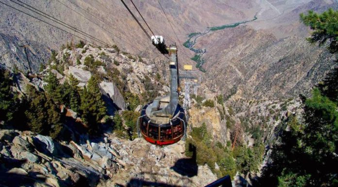 Can you hike down from the Palm Springs Tram? Can you hike down from the Palm Springs Tram?