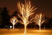 Can you leave outdoor Christmas lights up all year? Can you leave outdoor Christmas lights up all year?