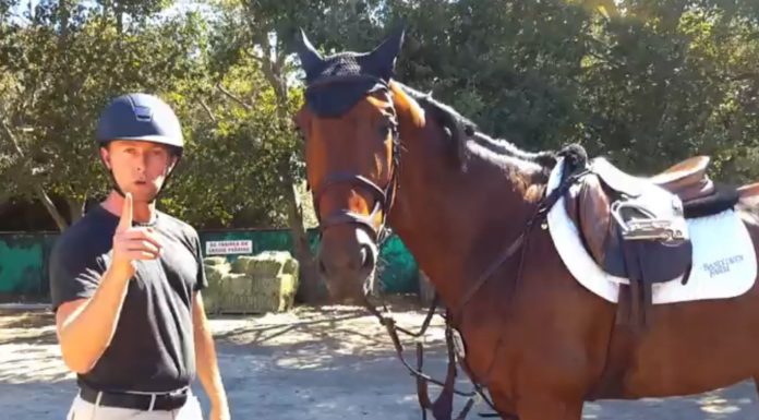 Can you live in Atlanta without a car? Can you live in Atlanta without a car?