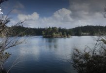 Can you park overnight along PCH? Can you park overnight along PCH?