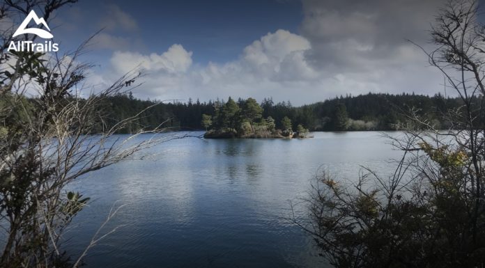 Can you park overnight along PCH? Can you park overnight along PCH?