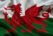 Can you pay cash for bus in Netherlands? Can you pay cash for bus in Netherlands?