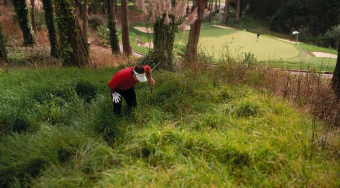 Can you play golf in Thailand? Can you play golf in Thailand?