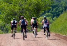 Can you rent mountain bikes at Colorado? Can you rent mountain bikes at Colorado?