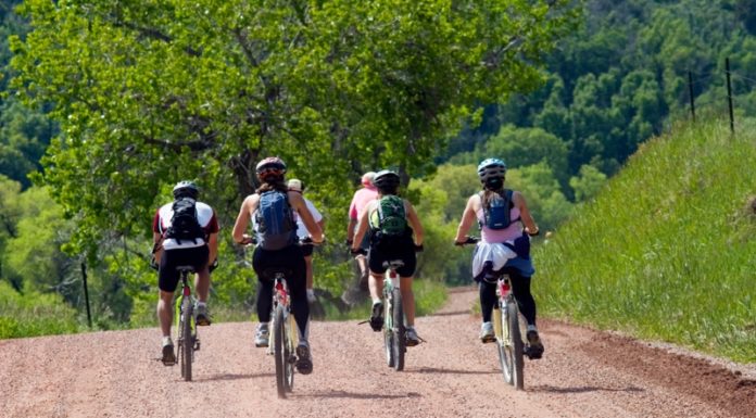 Can you rent mountain bikes at Colorado? Can you rent mountain bikes at Colorado?