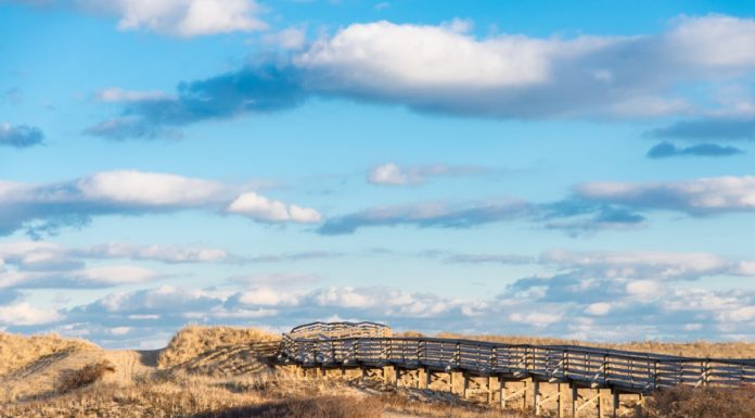 Can you ride a bike on Marco Island beach? Can you ride a bike on Marco Island beach?