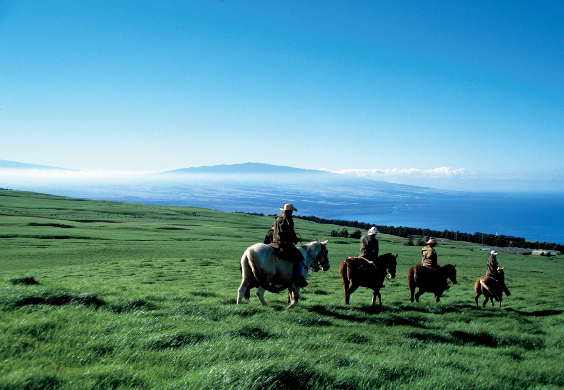 Can you ride horses on Cannon Beach? Portail des
