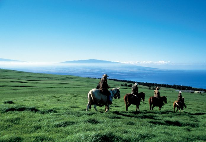 Can you ride horses on Cannon Beach?