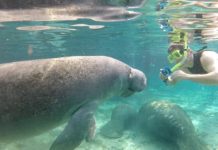 Can you see Mexico from Coronado Beach? Can you see Mexico from Coronado Beach?