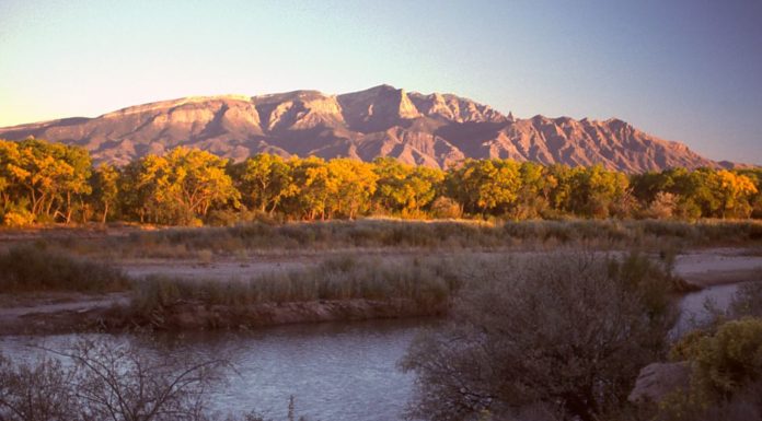 Can you see Mount Taylor from Albuquerque? Can you see Mount Taylor from Albuquerque?