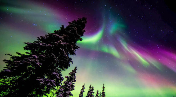 Can you see the Aurora Borealis in Fairbanks Alaska? Can you see the Aurora Borealis in Fairbanks Alaska?