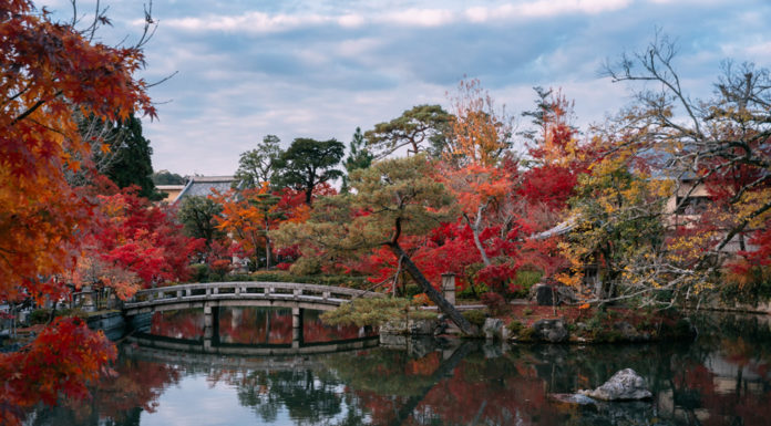 Can you ski in the summer in Japan? Can you ski in the summer in Japan?