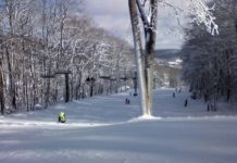 Can you ski near Milan? Can you ski near Milan?