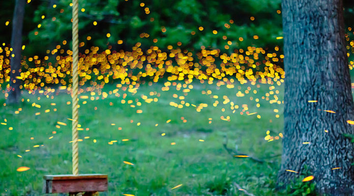 Can you still fly to Damascus? Can you still fly to Damascus?