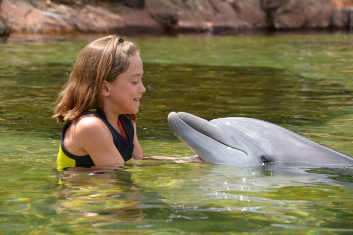 Can you swim at Stradbroke Island?