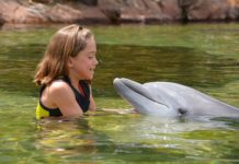 Can you swim in Holbox? Can you swim in Holbox?