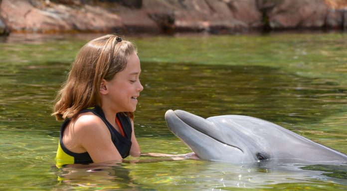 Can you swim in Holbox? Can you swim in Holbox?