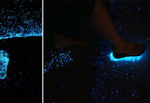 Can you swim in Laguna Beach? Can you swim in Laguna Beach?