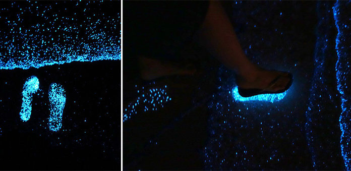 Can you swim in Laguna Beach? Can you swim in Laguna Beach?