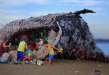 Can you swim in the ocean in the Dominican Republic? Can you swim in the ocean in the Dominican Republic?