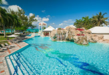 Can you swim with sea turtles in Turks and Caicos? Can you swim with sea turtles in Turks and Caicos?