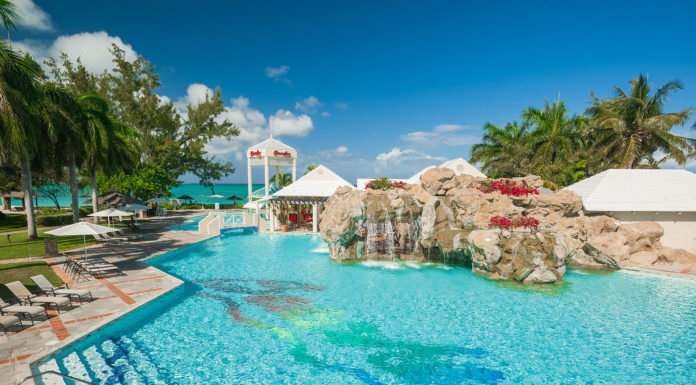 Can you swim with sea turtles in Turks and Caicos? Can you swim with sea turtles in Turks and Caicos?