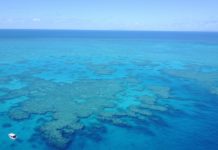 Can you take a caravan to Magnetic Island? Can you take a caravan to Magnetic Island?