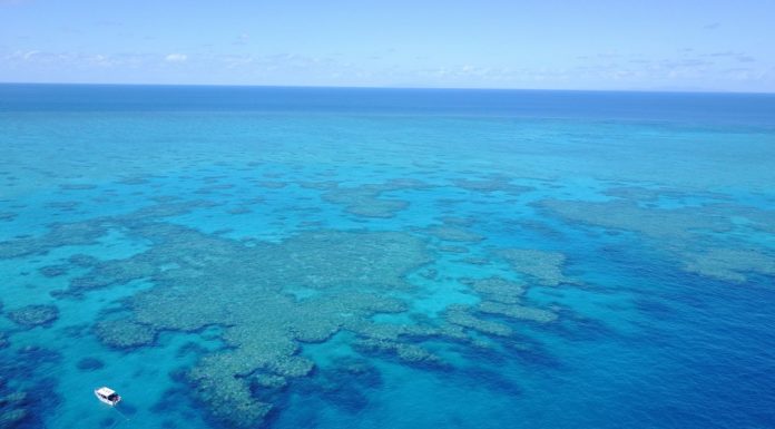 Can you take a caravan to Magnetic Island? Can you take a caravan to Magnetic Island?