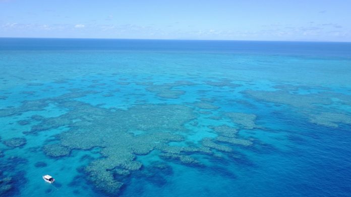 Can you take a caravan to Magnetic Island?