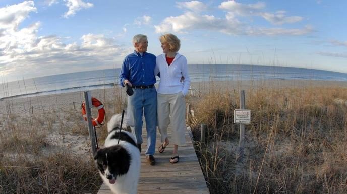 Can you take dogs on Bimini ferry? Can you take dogs on Bimini ferry?