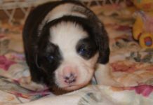 Can you take photos at the Ritz? Can you take photos at the Ritz?