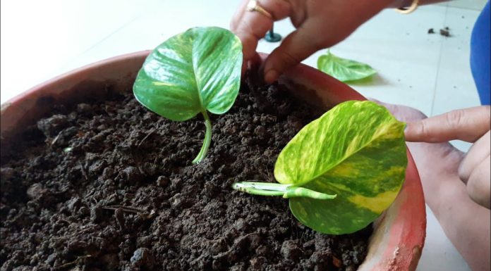 Can you take photos in the Louvre? Can you take photos in the Louvre?
