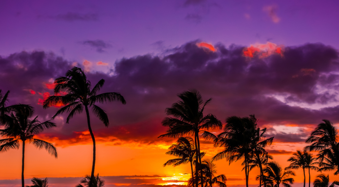 Can you take plumeria from Hawaii? Can you take plumeria from Hawaii?