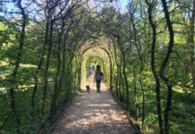 Can you walk around Central Park in a day? Can you walk around Central Park in a day?