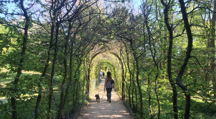 Can you walk around Central Park in a day? Can you walk around Central Park in a day?
