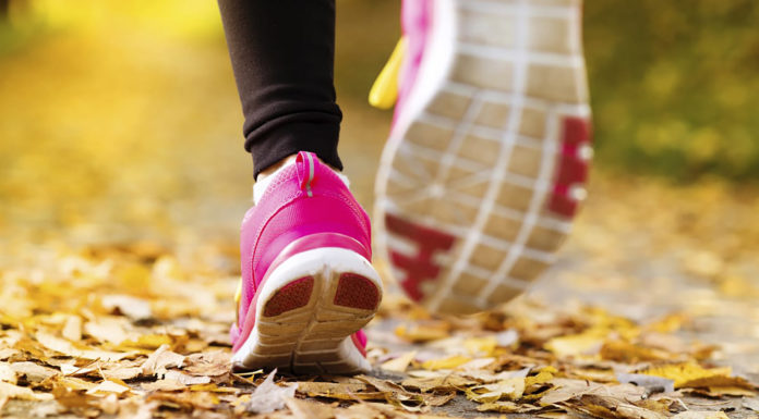 Can you walk around Paris in a day? Can you walk around Paris in a day?