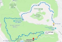 Can you walk down from the peak Hong Kong? Can you walk down from the peak Hong Kong?