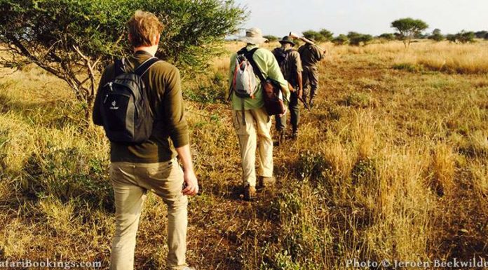 Can you walk from Animal Kingdom Lodge to park? Can you walk from Animal Kingdom Lodge to park?