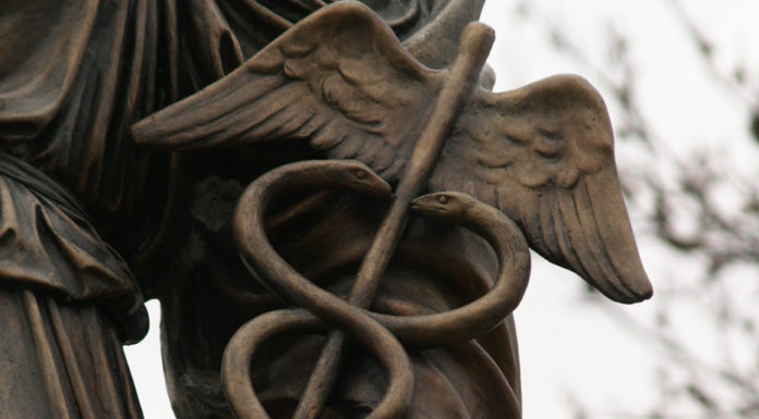 C’est quoi l’histoire du serpent ? C'est quoi l'histoire du serpent ?