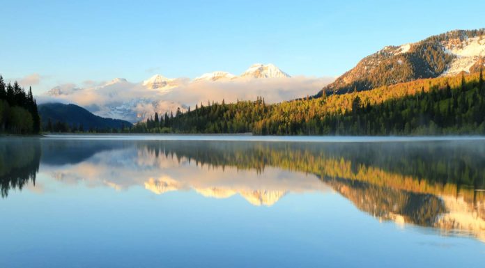 Comment fonctionne WedShoots ? Comment fonctionne WedShoots ?