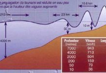 Comment s’arrête un tsunami ? Comment s'arrête un tsunami ?