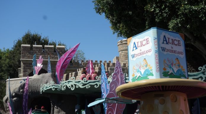 Do Celebrities wait in line at Disneyland? Do Celebrities wait in line at Disneyland?