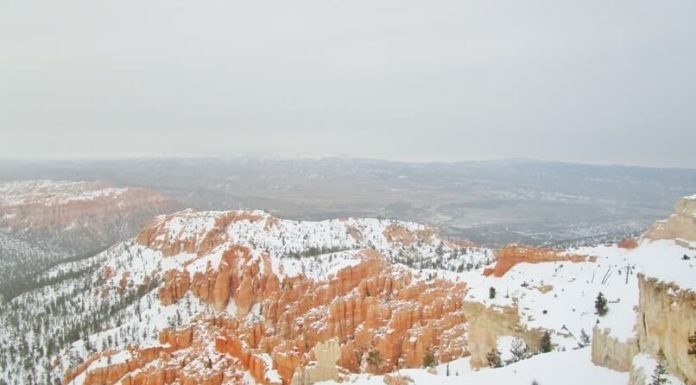 Do I need bear spray in Bryce Canyon? Do I need bear spray in Bryce Canyon?