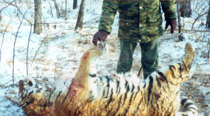 Do I need to book TGV in advance? Do I need to book TGV in advance?