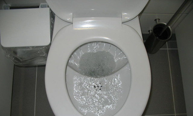 Do Muslims use toilet paper? Do Muslims use toilet paper?