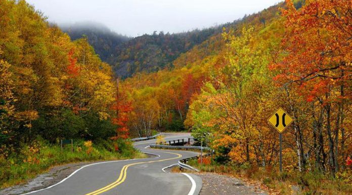 Do any people live on Vancouver Island? Do any people live on Vancouver Island?