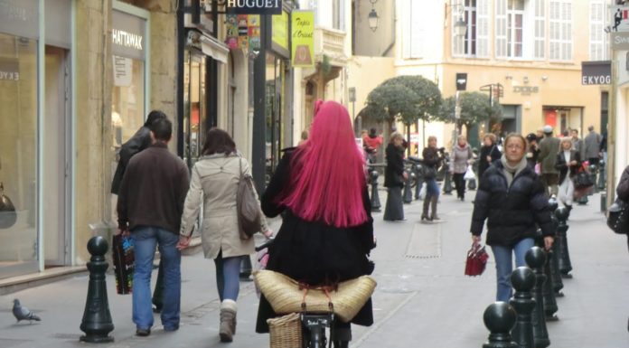 Do dogs have to wear muzzles in France? Do dogs have to wear muzzles in France?