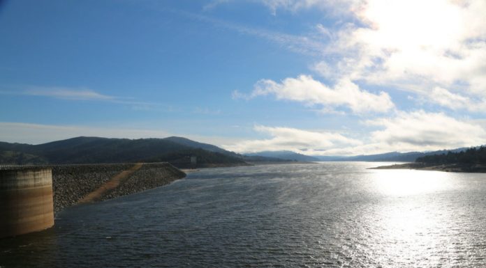 Do resorts water down alcohol? Do resorts water down alcohol?